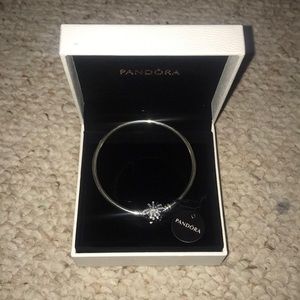 Brand New Pandora Bracelet